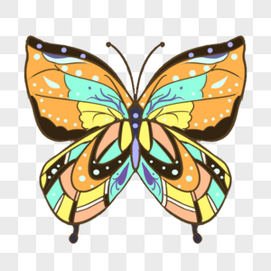 色彩缤纷的蝴蝶翅膀图片