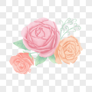 花卉玫瑰淡雅水彩植物图片