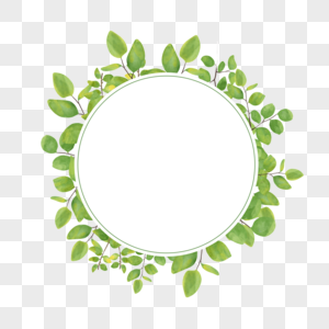 绿色水彩尤加利叶婚礼圆形线条边框图片
