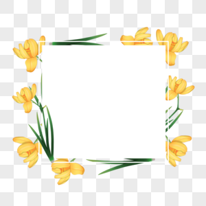 水彩黄色水仙花卉边框图片
