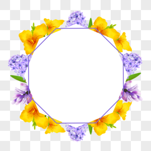 水彩风信子百合花卉边框紫色装饰图片