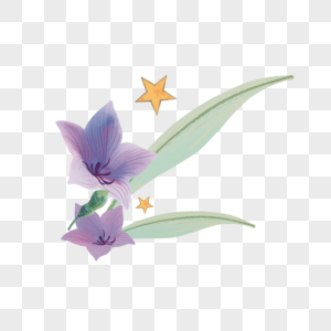 开斋节黄色星星紫色花朵图片