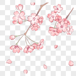 简单粉色水彩风格盛开的樱花图片