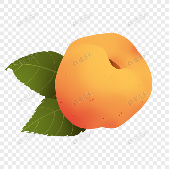 水果绘画剪贴画杏图片