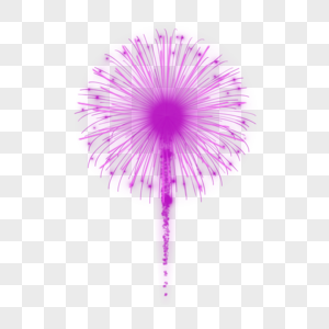 紫色焰火升空爆炸特效图片