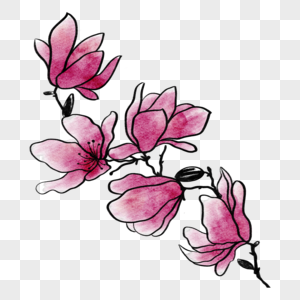 花卉彩色水墨风格图片