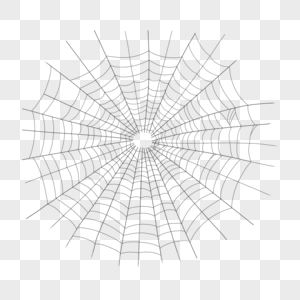 蜘蛛丝蜘蛛网细线条图片