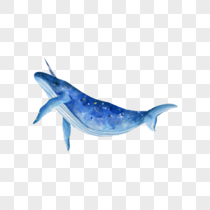独角鲸深海鱼水彩高清图片