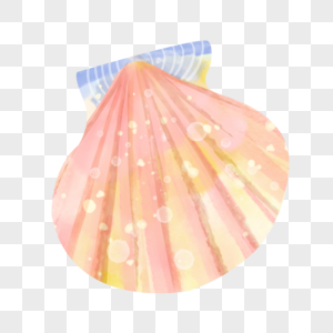 贝壳梦幻粉色扇贝海鲜图片图片