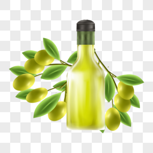 橄榄油橄榄树叶新鲜压榨高清图片