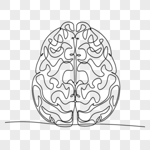 大脑皮层组织线条画抽象图片