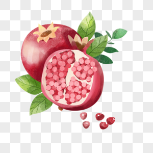 石榴水果水彩风格红色浆果图片