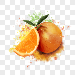 橘子水彩风格水果小块果肉图片