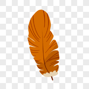 橙色波西米亚风格羽毛图片