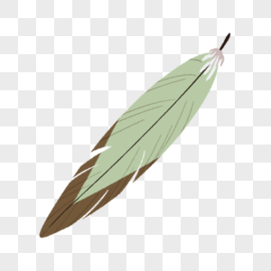 绿色波西米亚风格羽毛图片