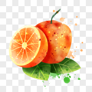 橘子水彩风格水果叶子和果肉图片