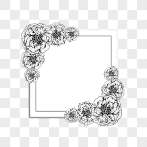 素描黑白花卉边框图片