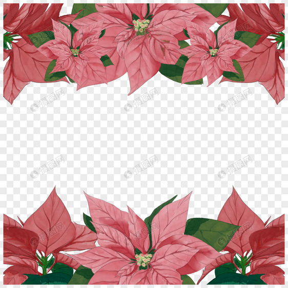 圣诞一品红花卉边框植物图片