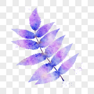水彩叶片蓝紫色植物图片