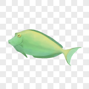 绿色卡通鱼类水彩海洋生物图片