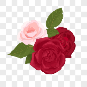 彩铅花卉玫瑰花图片