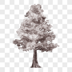 线条素描褐色树木图片