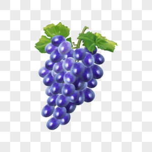 水彩食物一串葡萄水果图片