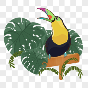 夏季宽叶子热带植物卡通巨嘴鸟图片