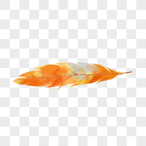 横放的橙色渐变水彩羽毛图片