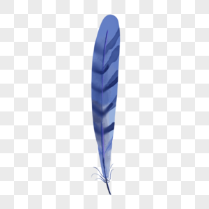蓝色细长型水彩羽毛图片