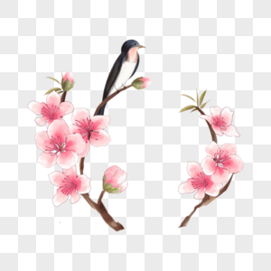 春天盛开的粉色水彩桃花花卉图片