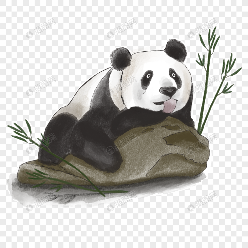 黑白水彩吃竹子的熊猫图片