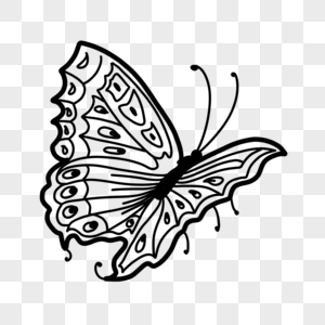 可爱花纹黑白线条蝴蝶图片