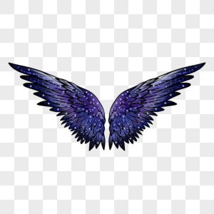 暗黑紫色魔法翅膀图片