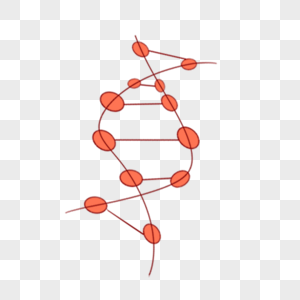 科学教育元素双链结构图片