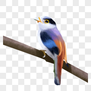 美丽的小鸟站着水彩鸟类动物图片