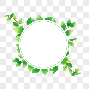 水彩尤加利叶婚礼线条圆形边框图片