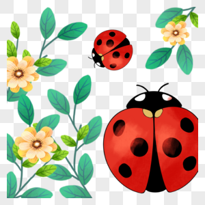 红色瓢虫春季植物插画图片