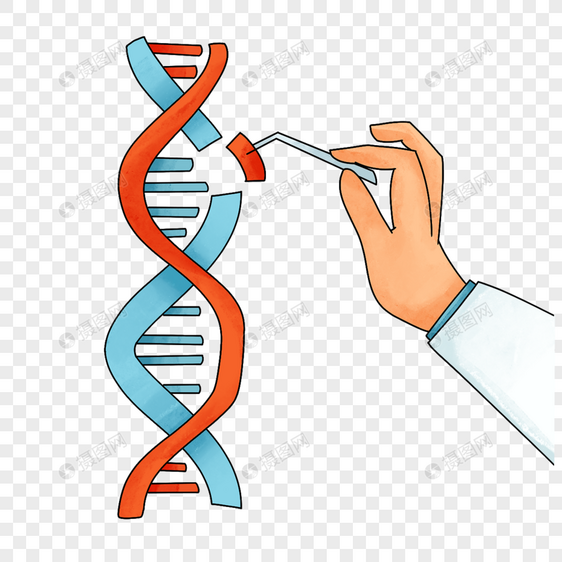 基因中的科学密码图片