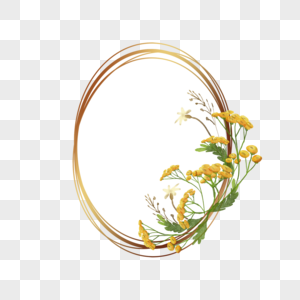 艾菊花卉水彩金色椭圆边框图片