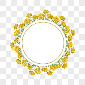 艾菊花卉水彩圆形边框高清图片
