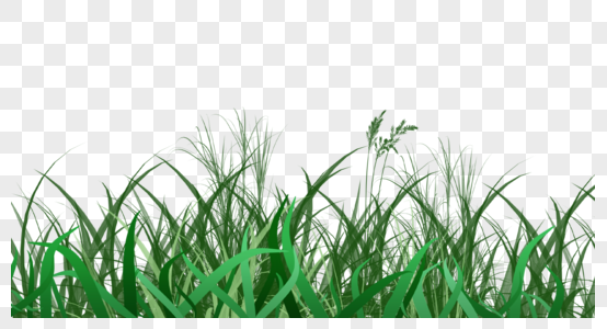 草地绿色写实杂乱草丛图片