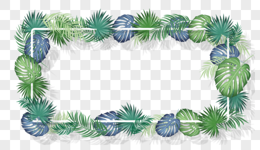 棕榈叶白色线条装饰边框图片