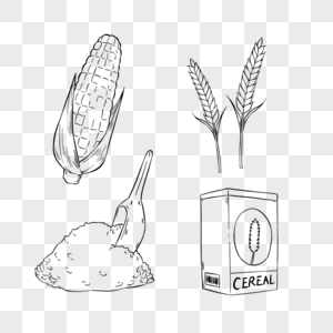 线稿素描玉米食物图片
