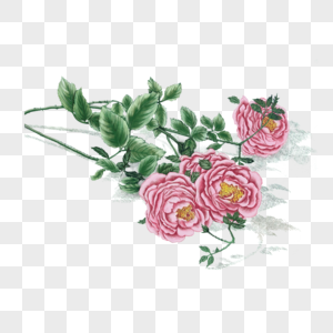 玫瑰彩铅花卉图片