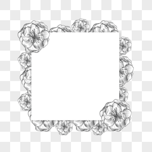 素描花卉方形边框图片