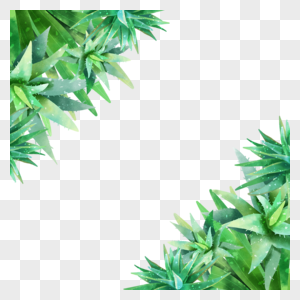 水彩植物芦荟装饰边框图片