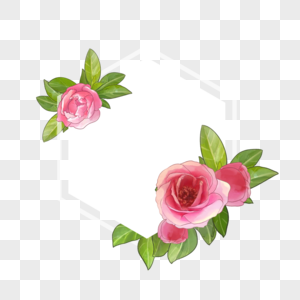 六边形水彩海棠花卉边框图片