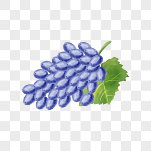蓝色水彩食物水果葡萄图片