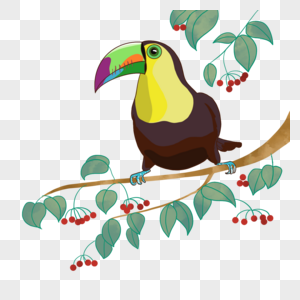 热带卡通可爱植物巨嘴鸟图片